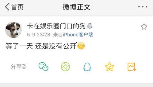 qq上的吃瓜爆料是什么,QQ吃瓜爆料背后的真相