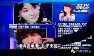 娱乐吃瓜蜀黍广告视频大全,广告视频大全精彩回顾