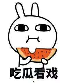 娱乐吃瓜酱晚安蠢蛋,揭秘娱乐圈的甜蜜与苦涩