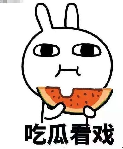 娱乐吃瓜君恶意造谣,真相揭秘！