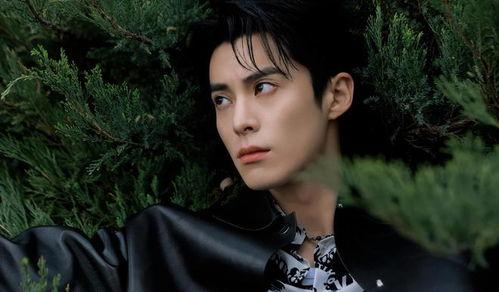 娱乐吃瓜王鹤棣微博